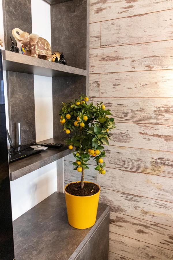 Apartment Tampa View Premium Brasov