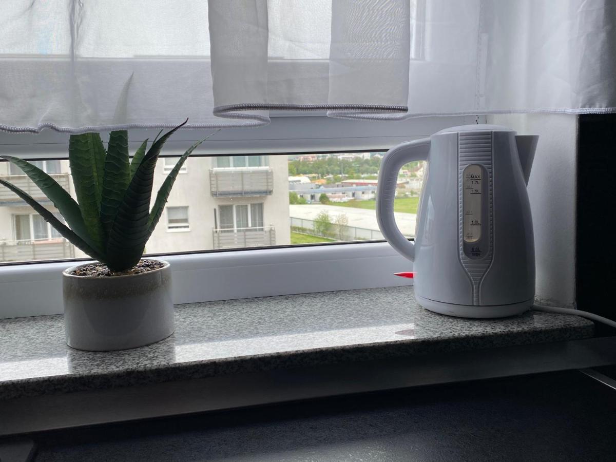 Apartment Tampa View Premium